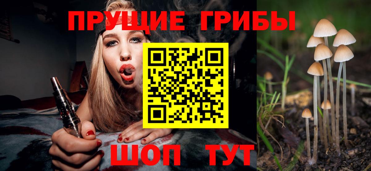 Галлюциногенные грибы мицелий Видное