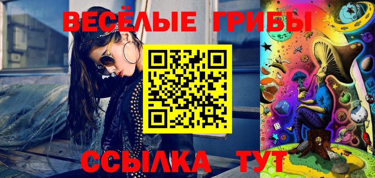 Видное  Псилоцибиновые грибы GOLDEN TEACHER  Псилоцибиновые грибы Psilocybe  что такое   Вход с VPN 