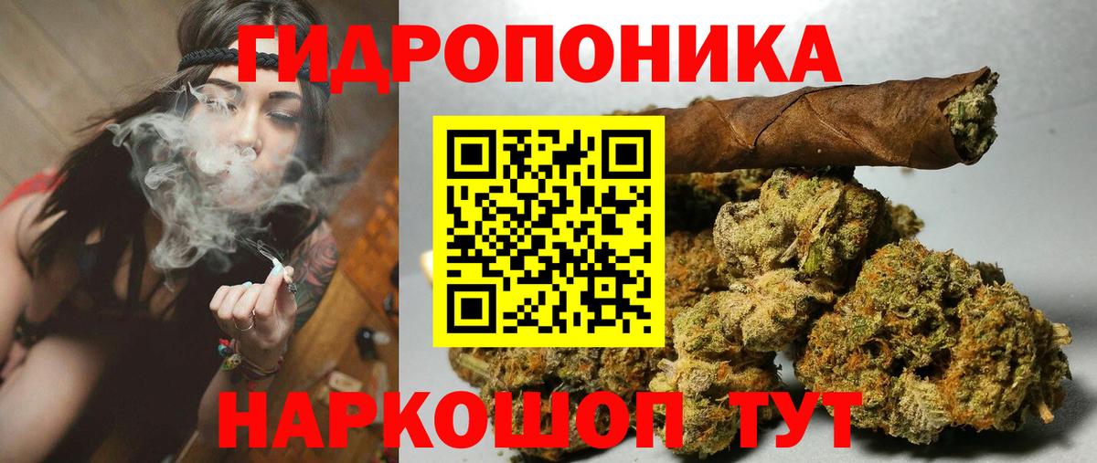 Бошки Шишки Amnesia  Конопля AK-47  Видное  Марихуана OG Kush  Вход с VPN  Конопля OG Kush 